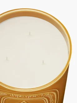 Diptyque Ambre (Amber) Large Candle