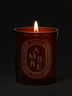 Diptyque Ambre (Amber) Medium Candle