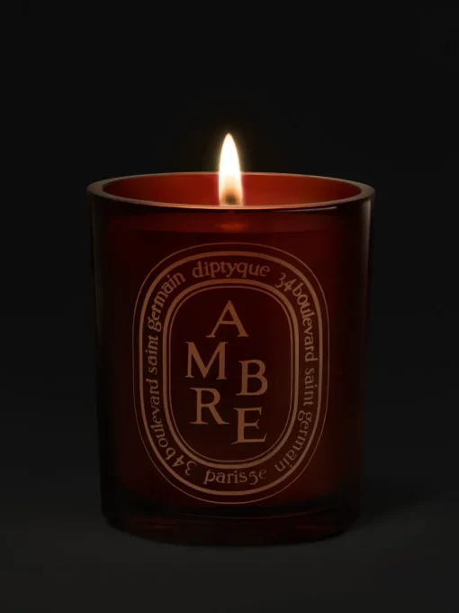Diptyque Ambre (Amber) Medium Candle
