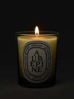 Diptyque Aubépine (Hawthorn) Classic Candle