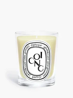 Diptyque Coing (Quince) Classic Candle