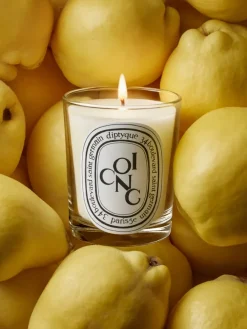 Diptyque Coing (Quince) Classic Candle