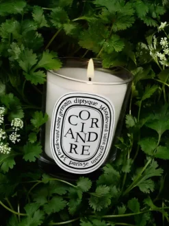 Diptyque Coriandre (Coriander) Classic Candle