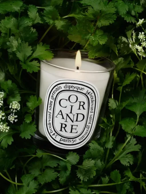 Diptyque Coriandre (Coriander) Classic Candle