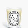 Diptyque Eucalyptus Classic Candle