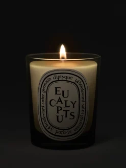 Diptyque Eucalyptus Classic Candle