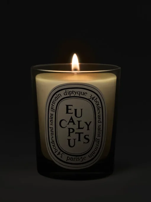 Diptyque Eucalyptus Classic Candle
