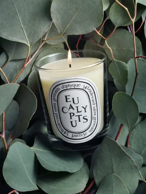 Diptyque Eucalyptus Classic Candle