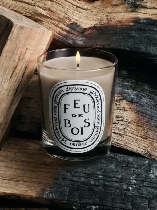 Diptyque Feu de Bois (Wood Fire) Classic Candle