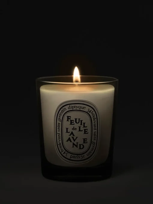 Diptyque Feuille de Lavande (Lavender Leaf) Small Candle