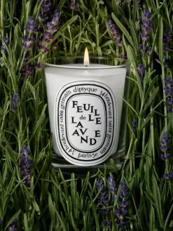 Diptyque Feuille de Lavande (Lavender Leaf) Small Candle