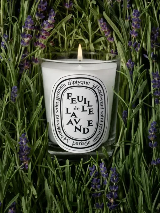 Diptyque Feuille de Lavande (Lavender Leaf) Small Candle