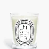 Diptyque Figuier (Fig Tree) Classic Candle