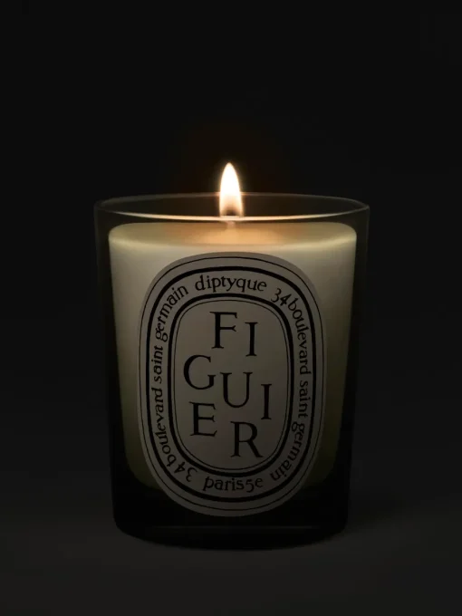 Diptyque Figuier (Fig Tree) Classic Candle