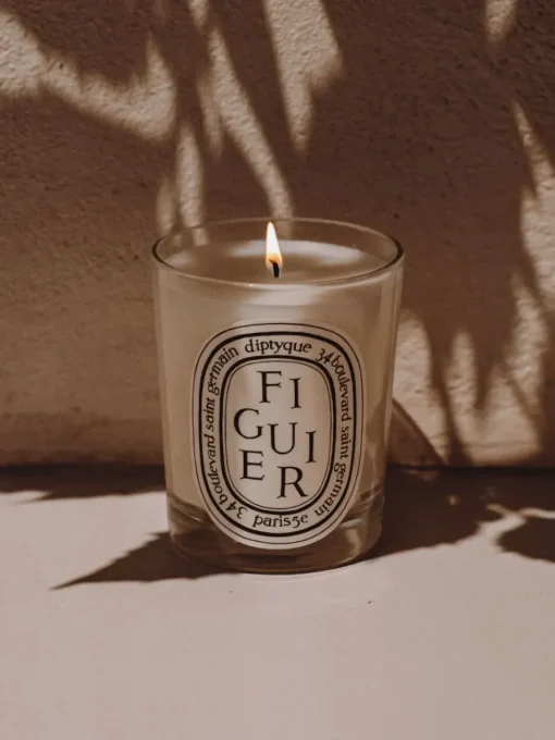 Diptyque Figuier (Fig Tree) Classic Candle