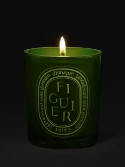 Diptyque Figuier (Fig Tree) Medium Candle