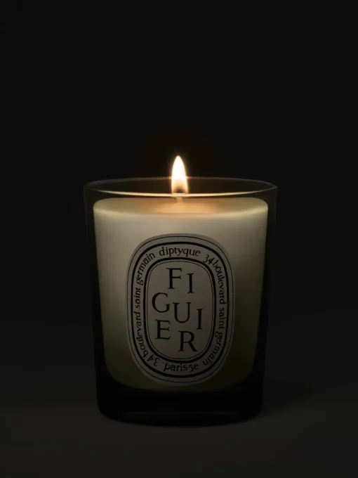 Diptyque Figuier (Fig Tree) Small Candle