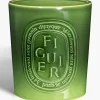 Diptyque Figuier (Fig Tree) Very Large Candle