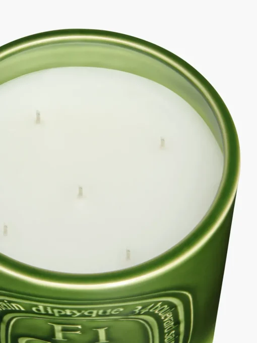 Diptyque Figuier (Fig Tree) Very Large Candle
