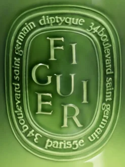 Diptyque Figuier (Fig Tree) Very Large Candle