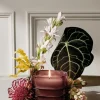 Diptyque La Forêt Rêve (Forest Dreams) Refillable Candle