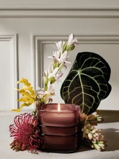 Diptyque La Forêt Rêve (Forest Dreams) Refillable Candle