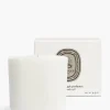 Diptyque La Vallée du Temps (Valley of Time) Candle Refill