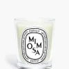 Diptyque Mimosa Classic Candle