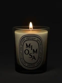 Diptyque Mimosa Classic Candle