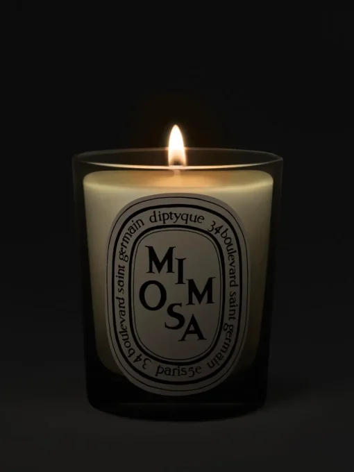 Diptyque Mimosa Classic Candle