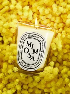 Diptyque Mimosa Classic Candle