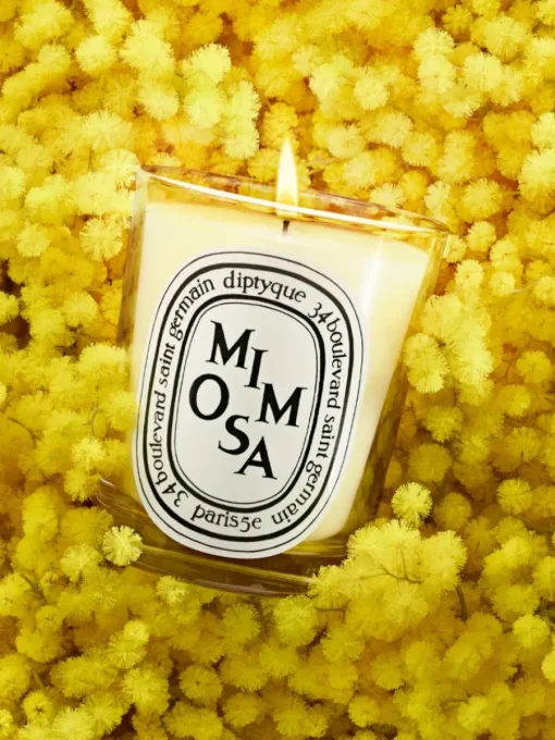 Diptyque Mimosa Classic Candle