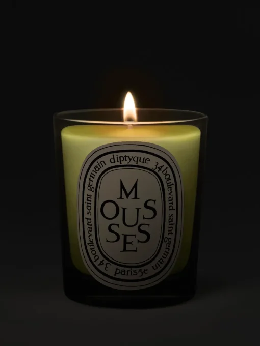 Diptyque Mousses(Moss) Classic Candle