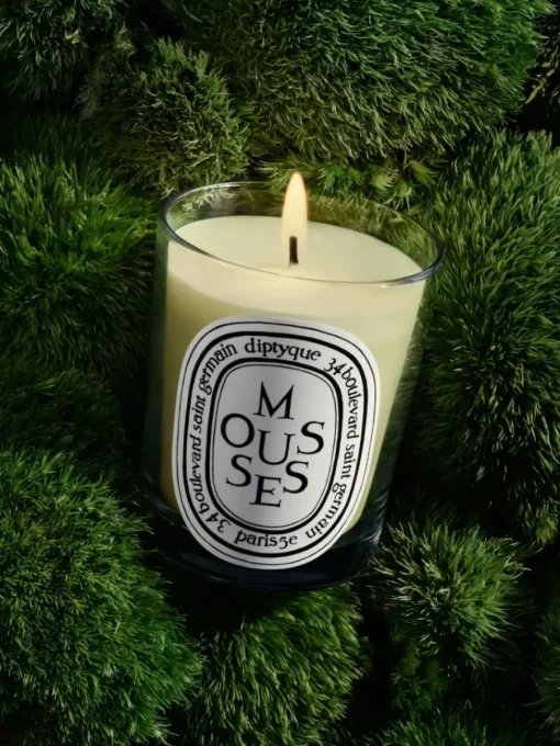 Diptyque Mousses(Moss) Classic Candle