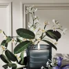 Diptyque Nymphées Merveilles (Nymphaeum of Wonders) Refillable Candle