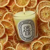 Diptyque Oranger (Orange Tree) Classic Candle