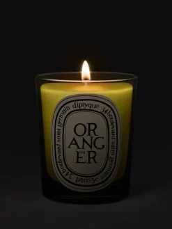 Diptyque Oranger (Orange Tree) Classic Candle