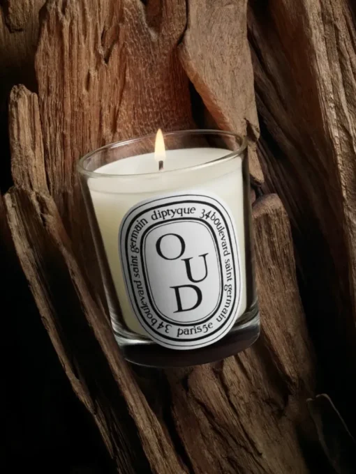 Diptyque Oud Classic Candle