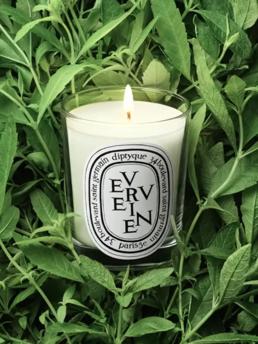 Diptyque Verveine (Lemon Verbena) Small Candle